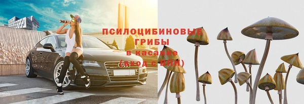 крисы Новозыбков