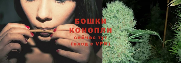 крисы Новозыбков