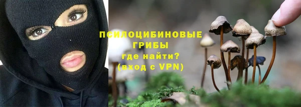 герыч Билибино