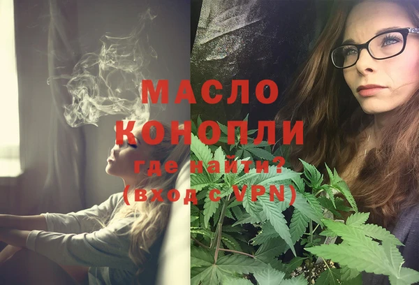 крисы Новозыбков