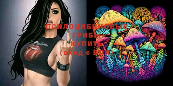 крисы Новозыбков