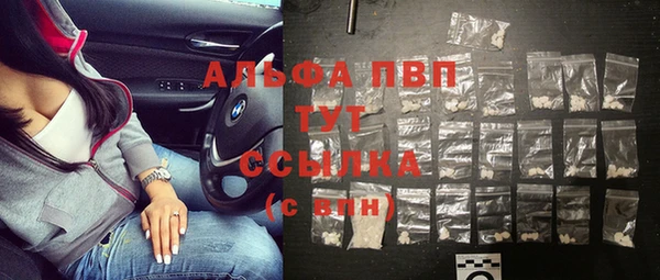 крисы Новозыбков