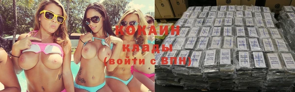 крисы Новозыбков