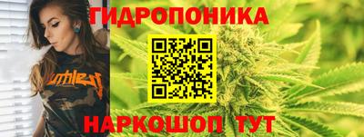 ГАЛЛЮЦИНОГЕННЫЕ ГРИБЫ Балахна