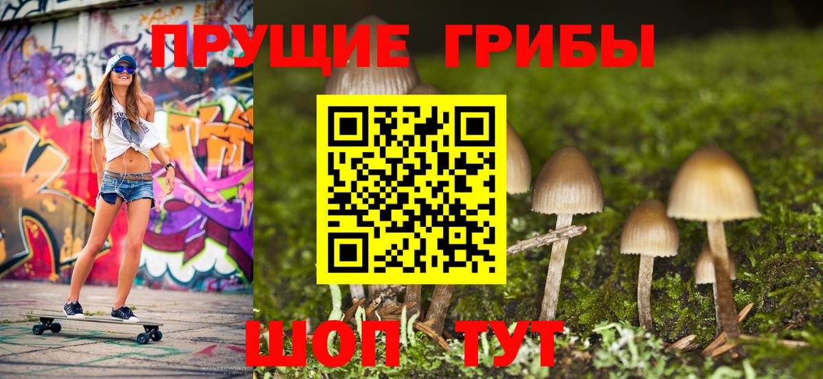 Псилоцибиновые грибы Psilocybe  Димитровград  Псилоцибиновые грибы мицелий 