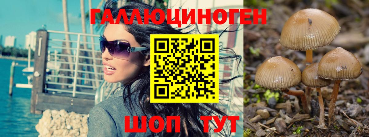 Псилоцибиновые грибы ЛСД Димитровград