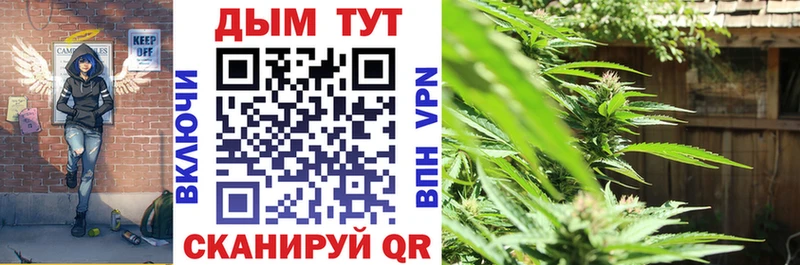 закладки ссылка на мегу онион Шишки марихуана White Widow Димитровград
